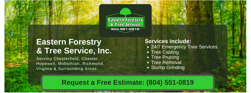 Eastern Forestry & Tree Service, Inc.