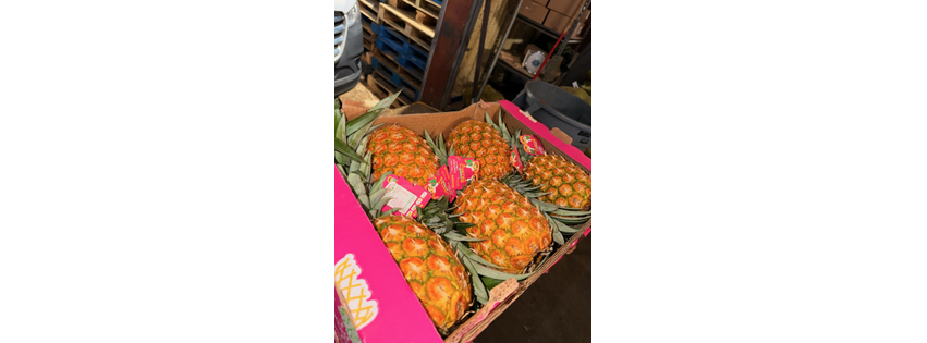 World Fruit Imports