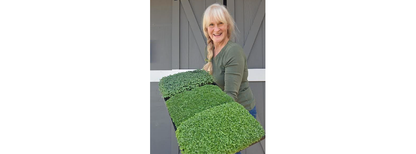 Mountain Micro Farm