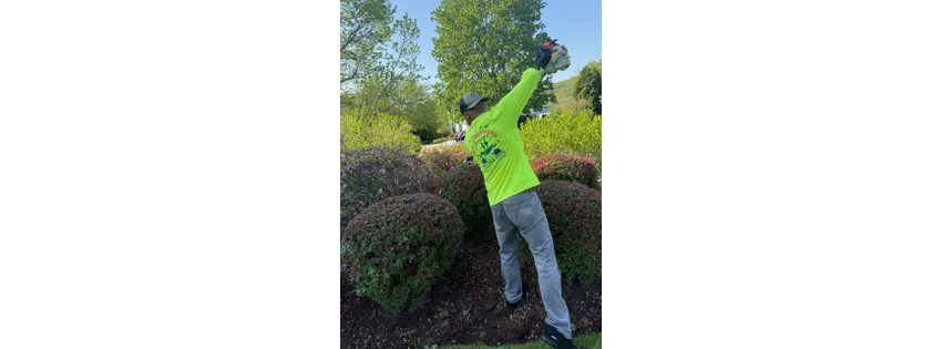 Big Brothers Landscaping