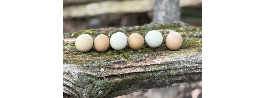 Roslin Poultry Ranch