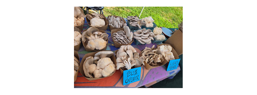 The Green Mycofarm