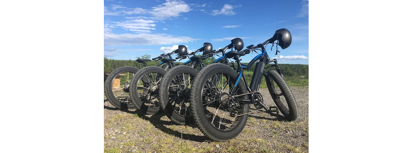 Mike's E Bikes