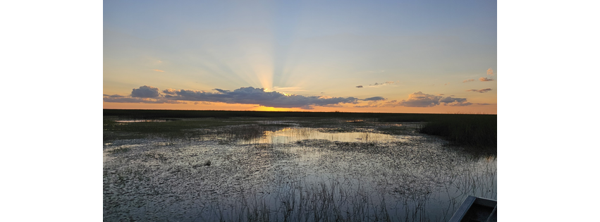 Florida Love Airboat Tours