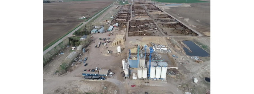 Vandenberg Feeders LTD