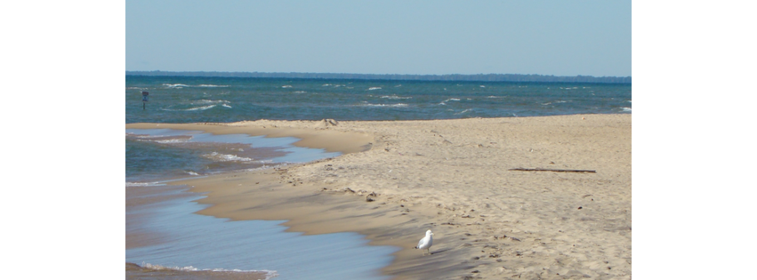Crystal Sands Beach Resort