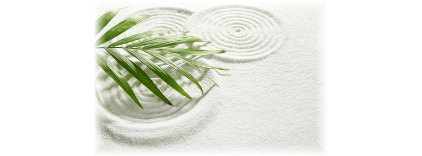 Naturopathic Wellness Center