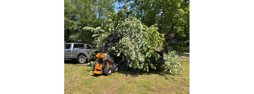 Hickman Trees - Premier Tree Service Experts in Your Area