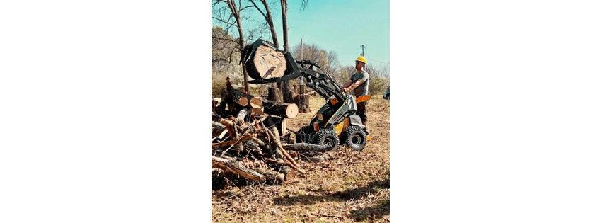 Hickman Trees - Premier Tree Service Experts in Your Area