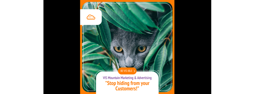 VIS Mountain Marketing & Advertising