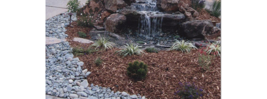 Sal Rodriguez Landscapes