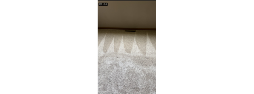 Lake Geneva Carpet Cleaning