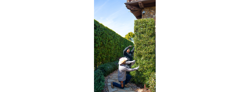 Bradley Landscape Development
