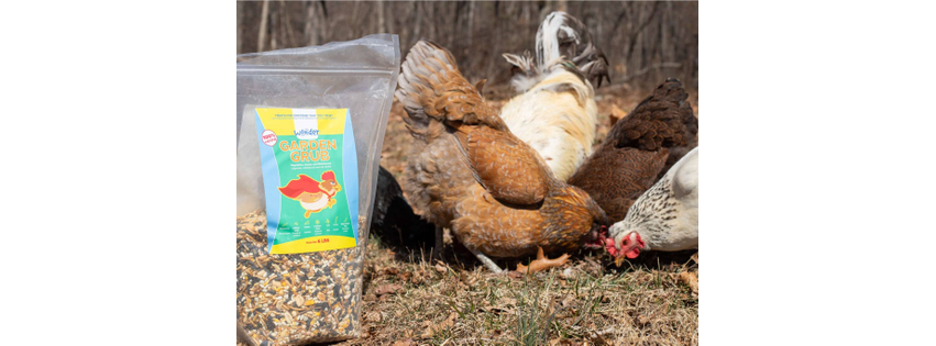 Stromberg's Chicks & Game Birds - Florida