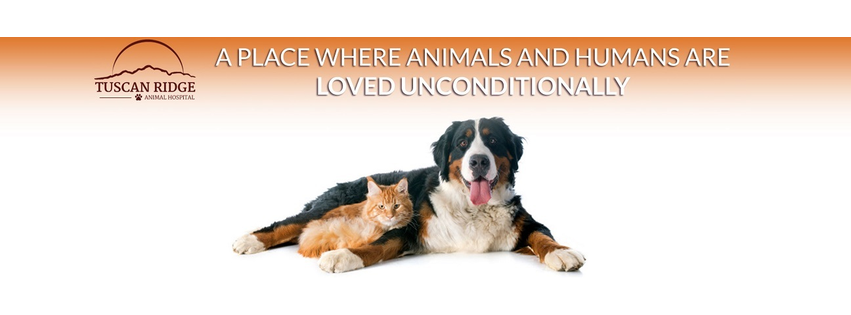 Tuscan Ridge Animal Hospital