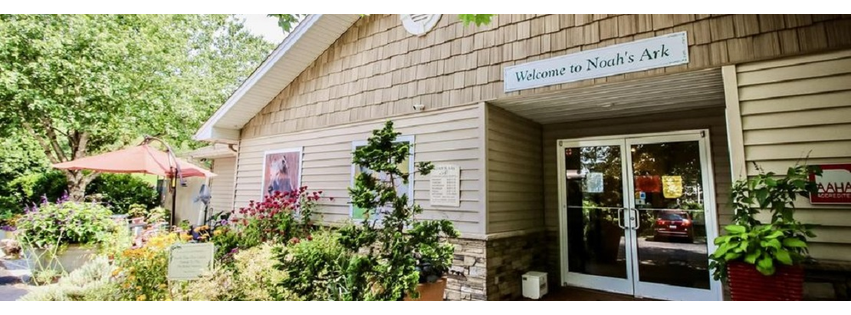 Noah's Ark Companion Animal Hospital