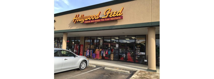 Hollywood Feed