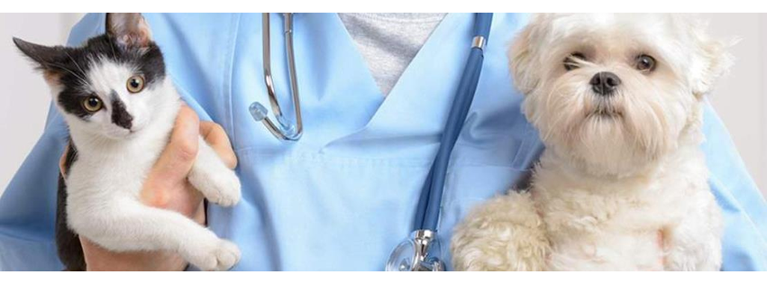 Akaal Pet Hospital