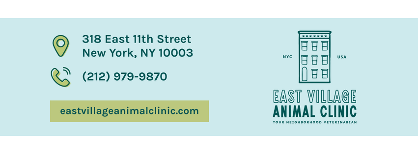 East Village Animal Clinic