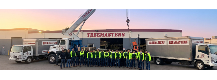 Treemasters