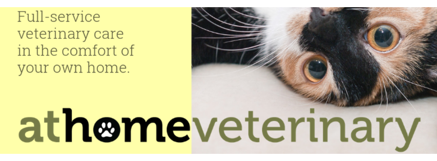 At Home Veterinary