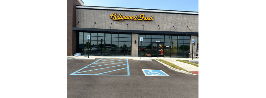 Hollywood Feed
