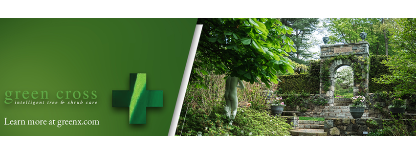 Green Cross