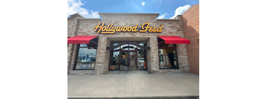 Hollywood Feed