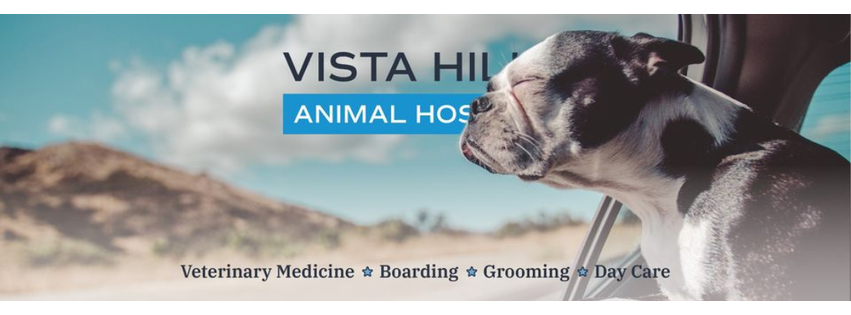 Vista Hills Animal Hospital