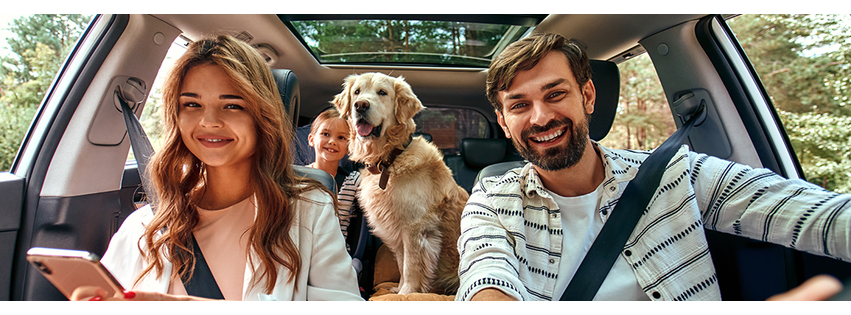 First Light Insurance Group, LLC
