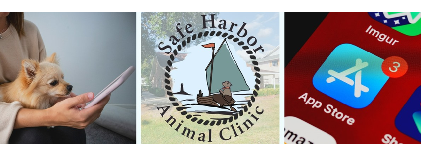 Safe Harbor Animal Clinic