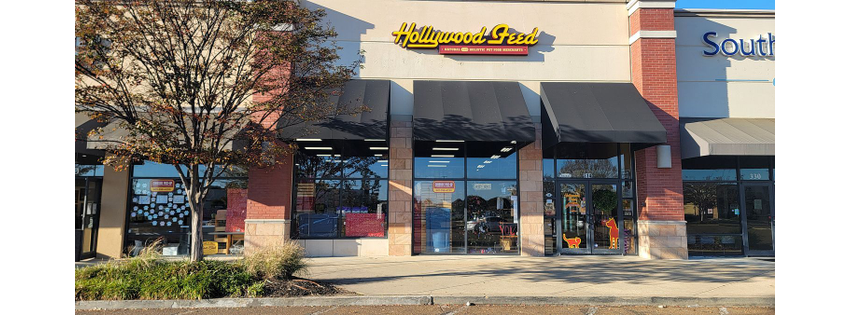 Hollywood Feed