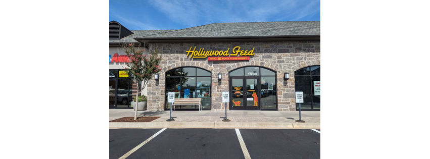 Hollywood Feed