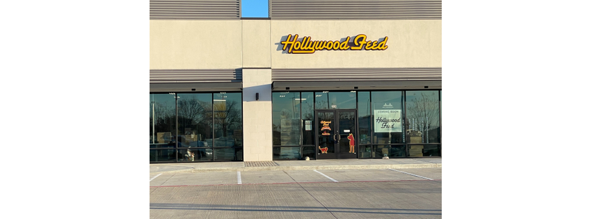 Hollywood Feed