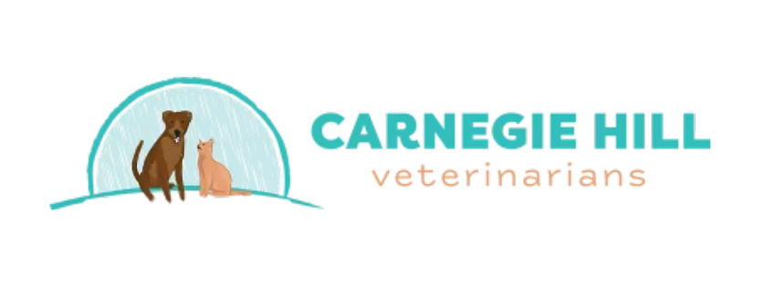 Carnegie Hill Veterinarians