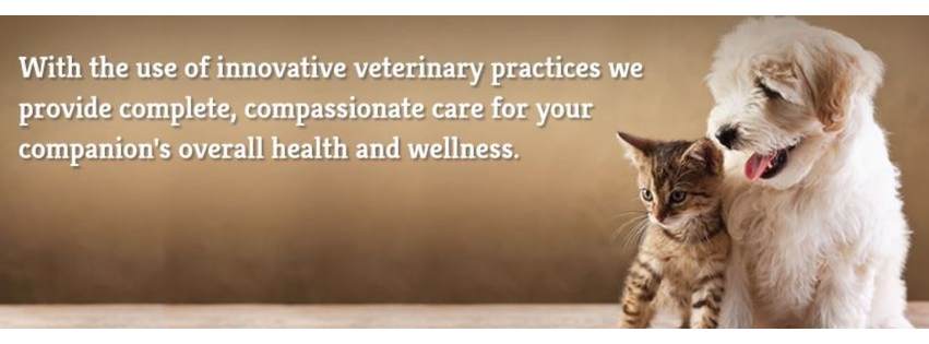 Centreville Square Animal Hospital