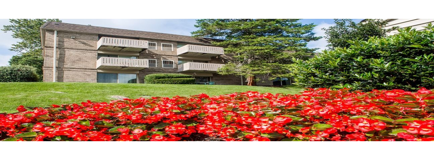 Top of the Hill Apartments