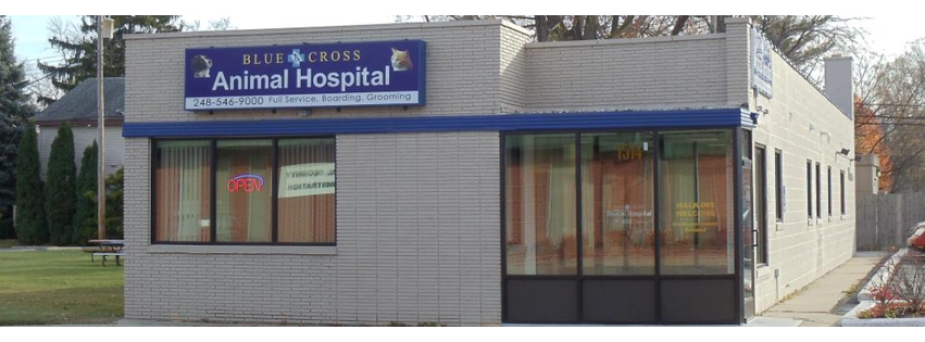 Blue Cross Animal Hospital