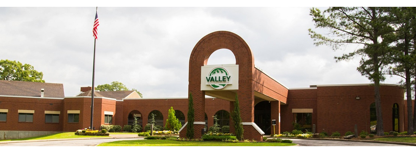 Valley Behavioral Health
