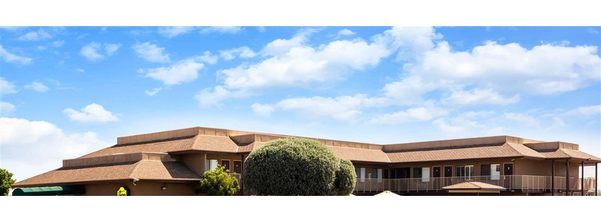 Super 8 by Wyndham Lindsay Olive Tree