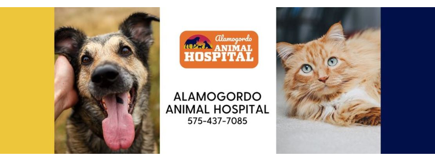 Alamogordo Animal Hospital