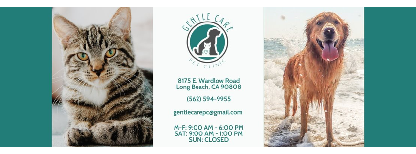 Gentle Care Pet Clinic