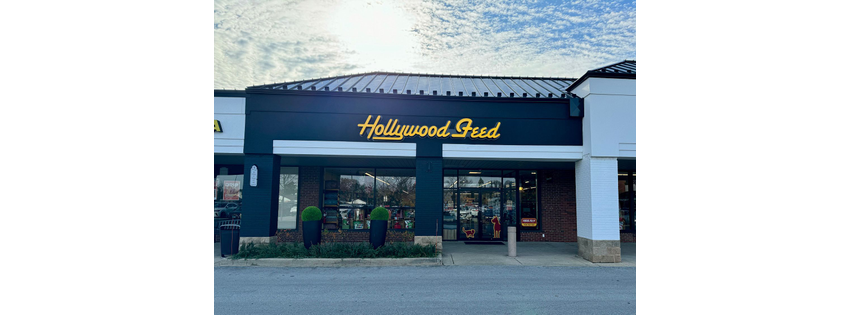 Hollywood Feed