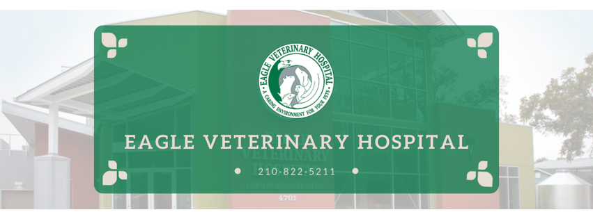 Eagle Veterinary Hospital