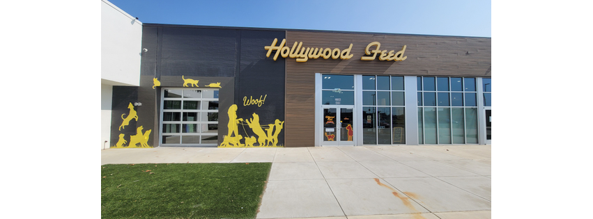 Hollywood Feed
