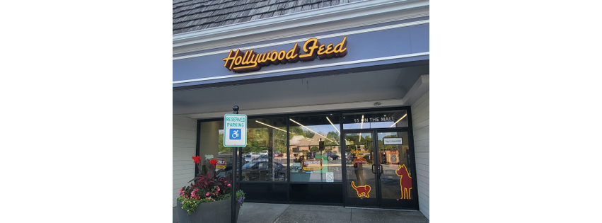 Hollywood Feed