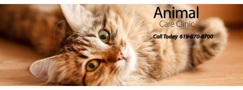 Animal Care Clinic