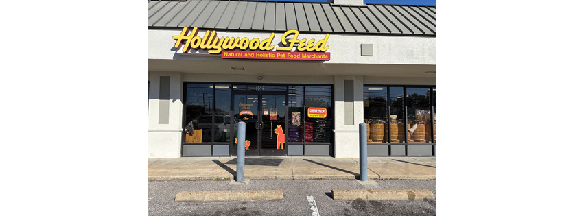 Hollywood Feed