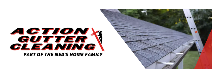 Action Gutter Cleaning Cumming, GA