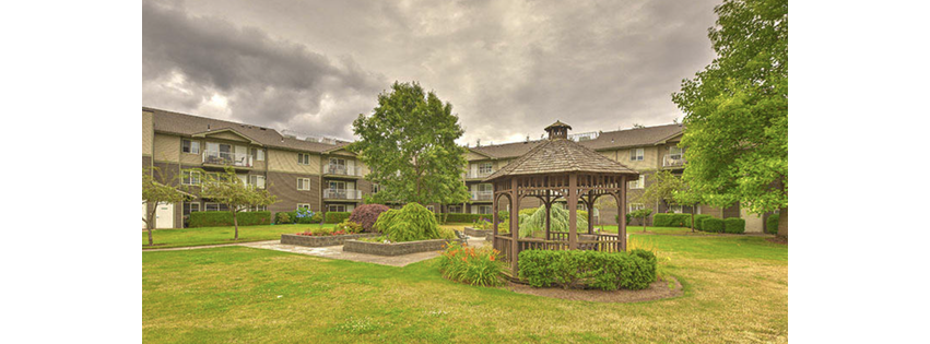 Vintage at Bellingham